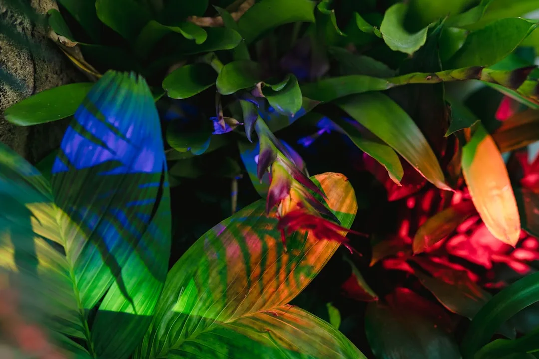 comment faire un mega neon adopt me