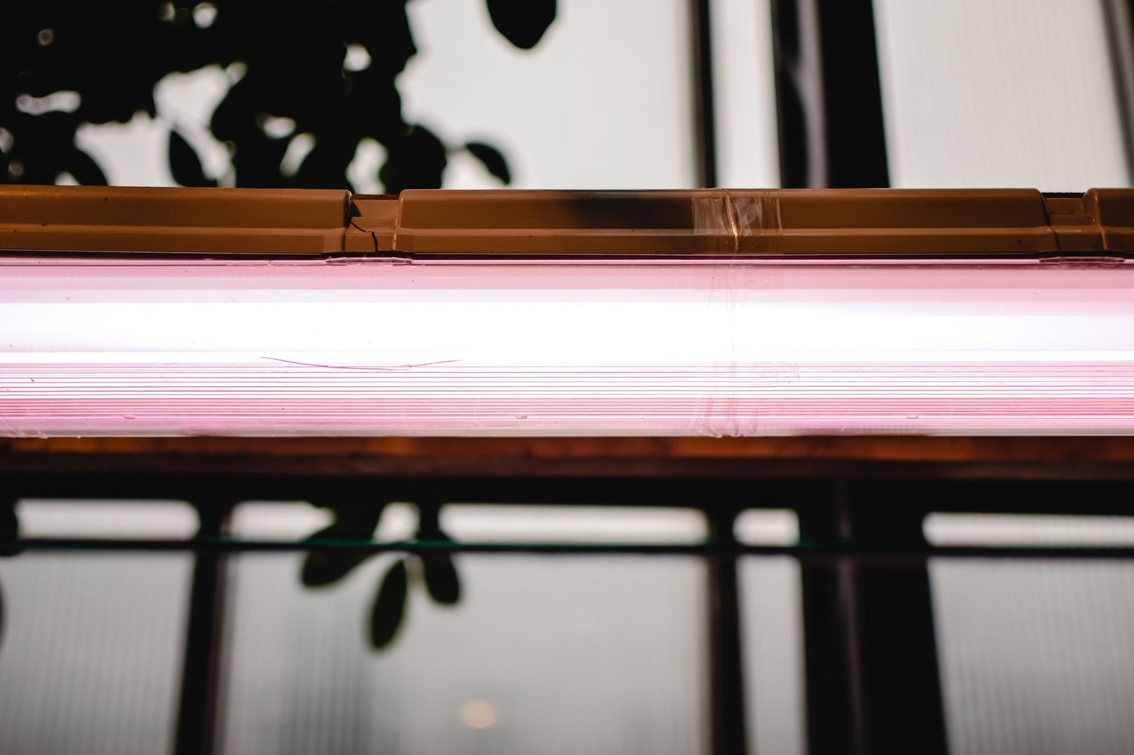 pexels photo 7505602